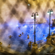 Illustration for article titled The Winning Images From iNational Geographic/is 2014 Photo Contest
